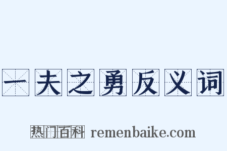 一夫之勇反义词是什么意思的图片